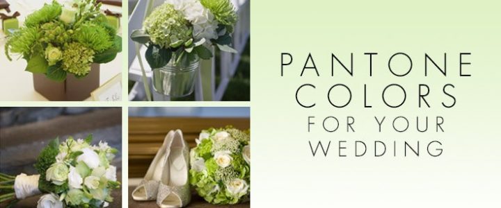Pantone colors for your wedding
