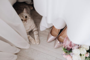 Cat laying under wedding dress near shoes, rings, and bouquet