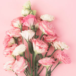 bouquet of pink lisianthus on a pink background, top view, eustoma