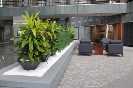 Office Reception Area arranged with plants and chairs