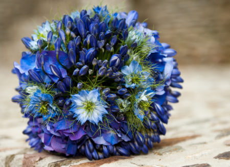 A wedding bouquet with Agapanthus (lily of the Nile), Nigella Damascena (love in a mist) and Hydrangea Macrophylla