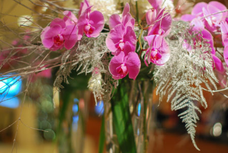 Phalaenopsis orchid flower arrangement with pampas grass on counter lobby