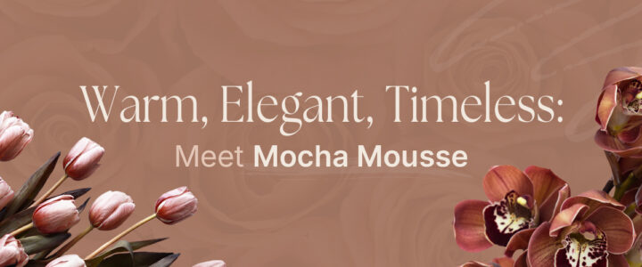 Warm, elegant, timeless
