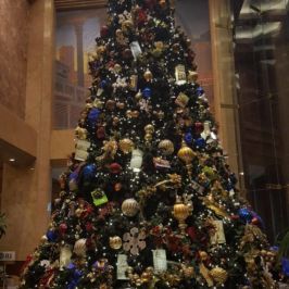 Tall indoor Christmas tree