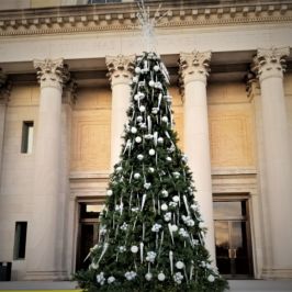 Tall outdoor Christmas tree