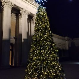 Tall lit outdoor Christmas tree