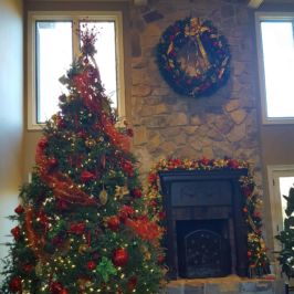 Indoor holiday decor with Christmas tree