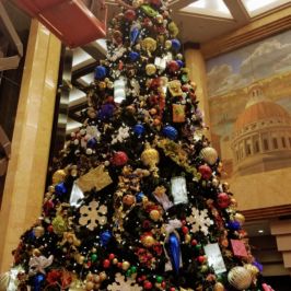 Tall indoor Christmas tree