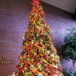 Tall lit Christmas tree