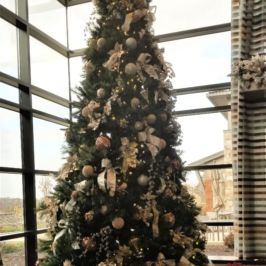 Christmas tree and poinsettias