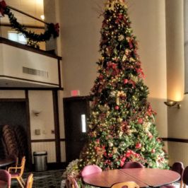 Tall indoor Christmas tree