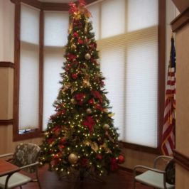 Indoor Christmas tree