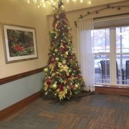 Indoor Christmas tree