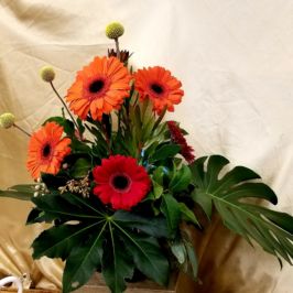 Orange gerbera daisies and tropical foliage