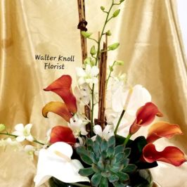 Arrangement of tropical flowers and succulents