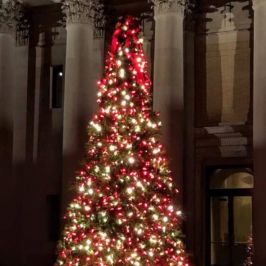 Outdoor lit Christmas tree