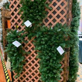 Winter greenery on display