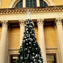 Tall Christmas tree decorated in front of a building